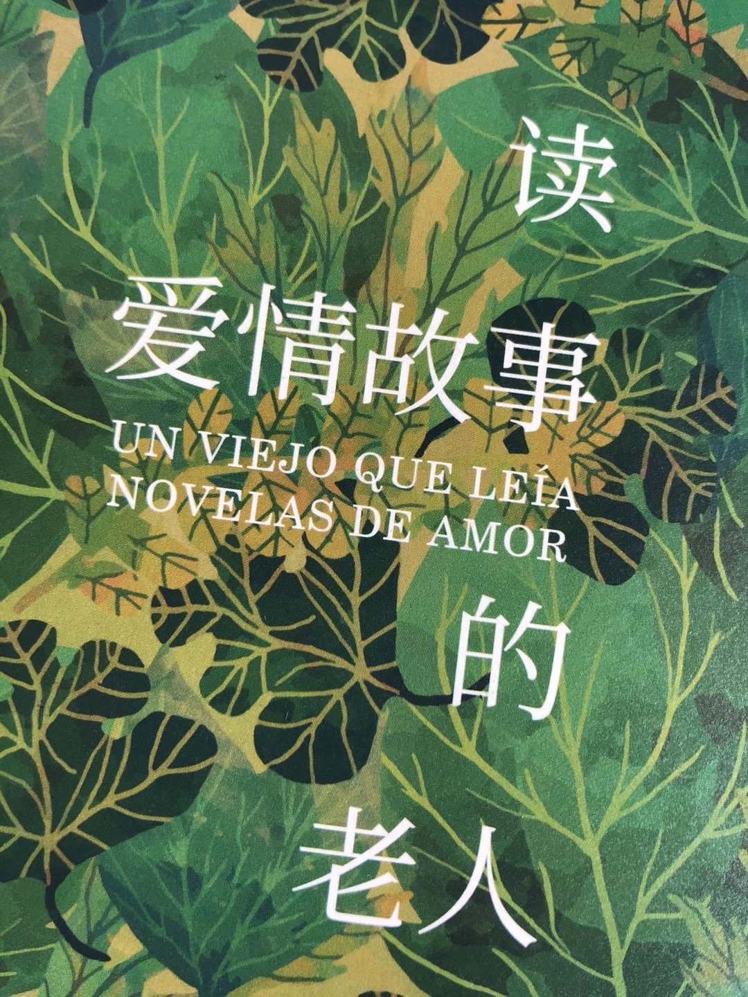 [书评] 读爱情小说的老人